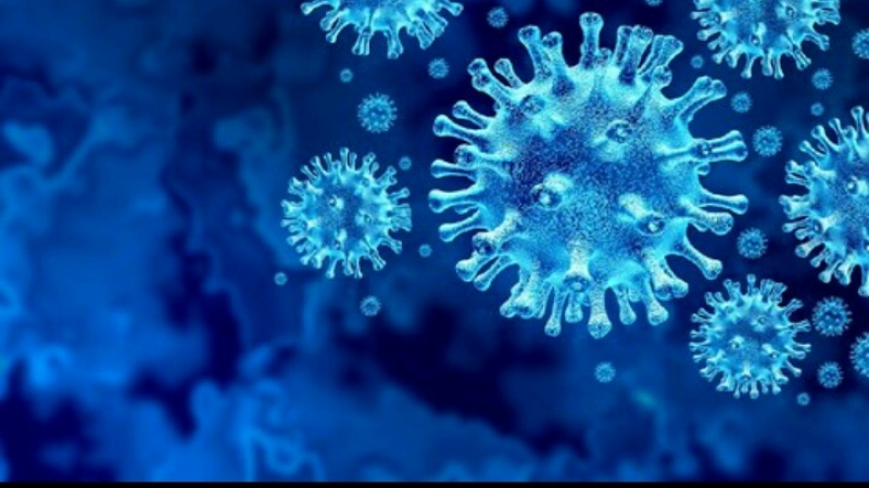 Ilustrasi virus corona (detikFinance)