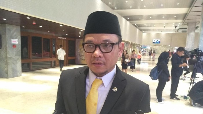 Ace Hasan Syadzily (Nur Azizah Rizki Astuti/detik.com)