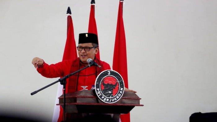 Sekertaris Jenderal PDI Perjuangan Hasto Kristiyanto.(Foto: Lusius Genik/Tribunnews.com)