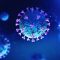 Ilustrasi corona virus (Covid-19) (Foto: Kompas.com)