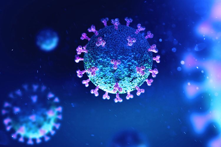 Ilustrasi corona virus (Covid-19) (Foto: Kompas.com)