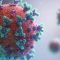 Kepala Lembaga Biologi Molekuler Eijkman Sebut Virus Corona Bisa Bertahan di Udara Hingga 8 Jam