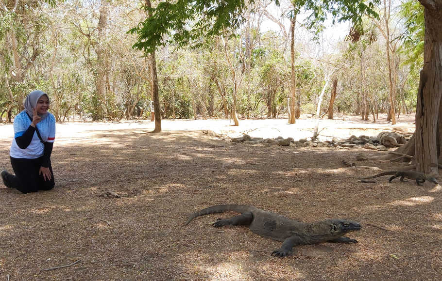 Sesalkan Pembangunan “Jurassic Park” di TN Komodo, Pengamat: Bisa Mencoreng Nama Indonesia