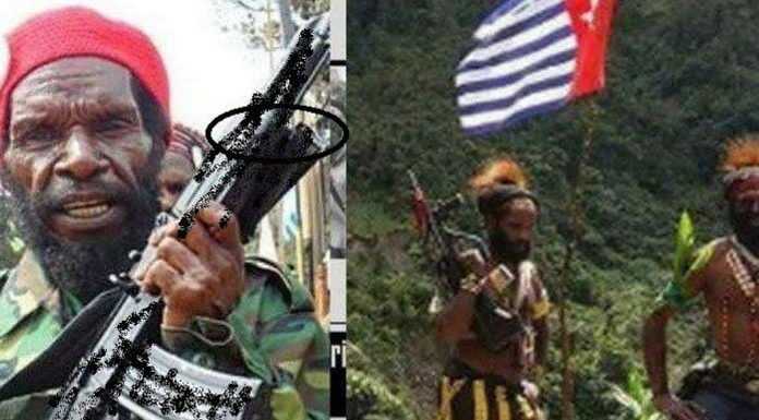 Pimpinan KKB Sebut Jokowi Pembunuh: Jangan Macam-macam Sudah, Siap Merdeka!