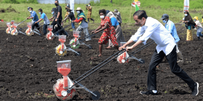 Tanam Jagung di Sorong, Jokowi Jadi 'Motor' Penggerak Pertanian