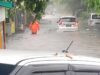 Hujan Deras Guyur Jakarta, 18 Pohon Tumbang Timpa Warung Hingga Pagar Rumah