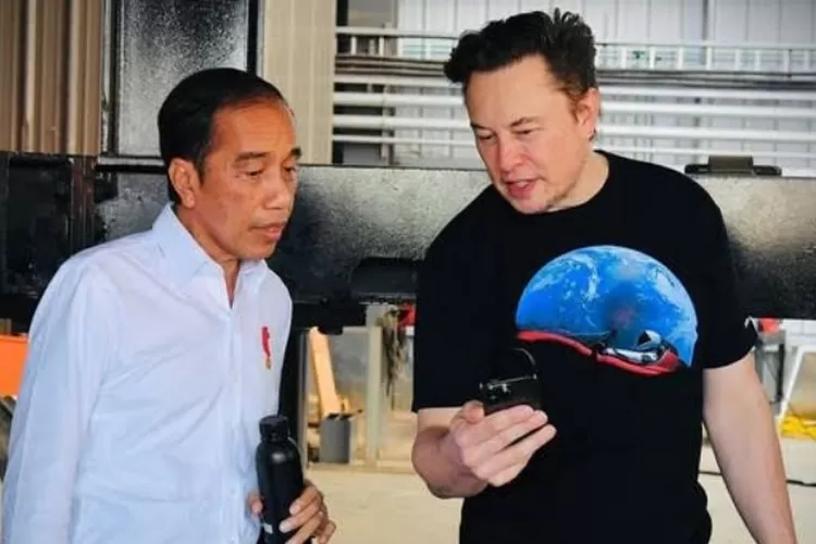 Elon Musk dan Jokowi