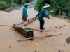 Wadas Banjir Akibat Pembukaan Akses Jalan ke Tambang Andesit