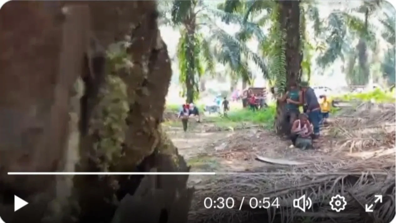 Viral Warga Seruyan Tewas Tertembak Aparat saat Unjuk Rasa di Perkebunan Sawit Kalteng